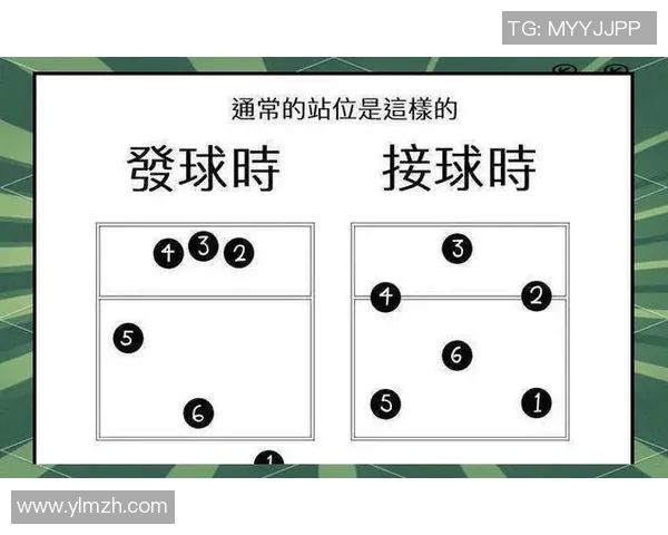 排球盛宴：深入解析北京排球队员的个人技能与战术配合