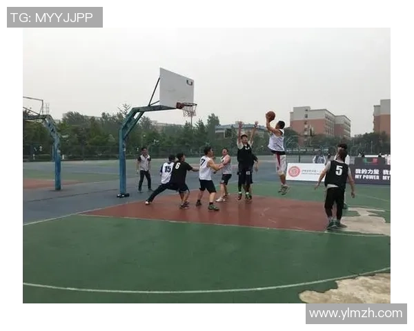 成都篮球队精英赛战术分析与表现评估全面解读