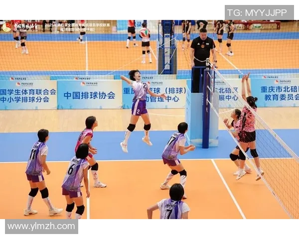 成都排球队与北京排球队赛后战术分析与复盘探讨